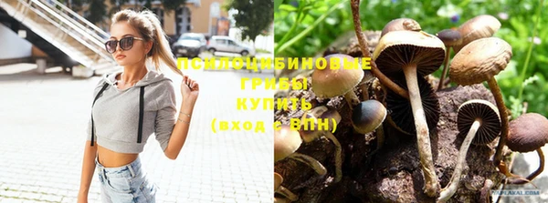 дмт Михайлов